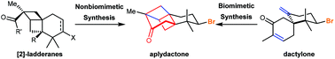 Graphical abstract: Recent progress in the total synthesis of marine brominated sesquiterpene aplydactone