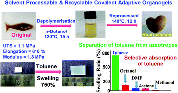 Graphical abstract: Solvent processable and recyclable covalent adaptable organogels based on dynamic trans-esterification chemistry: separation of toluene from azeotropic mixtures