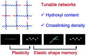 Graphical abstract: Structural tuning of polycaprolactone based thermadapt shape memory polymer