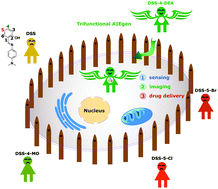 Graphical abstract: A multifunctional AIEgen with high cell-penetrating ability for intracellular fluorescence assays, imaging and drug delivery