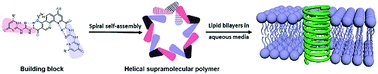 Graphical abstract: Helical supramolecular polymer nanotubes with wide lumen for glucose transport: towards the development of functional membrane-spanning channels