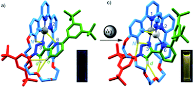 Graphical abstract: Rotaxane PtII-complexes: mechanical bonding for chemically robust luminophores and stimuli responsive behaviour