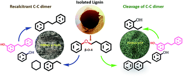 Graphical abstract: NiMoS on alumina-USY zeolites for hydrotreating lignin dimers: effect of support acidity and cleavage of C–C bonds