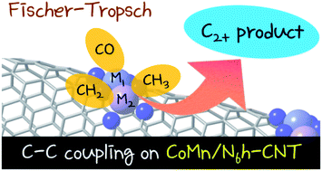 Graphical abstract: C–C coupling reactions promoted by CNT-supported bimetallic center in Fischer–Tropsch synthesis