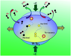 Graphical abstract: Synergetic effects of strain engineering and substrate defects on generating highly efficient single-atom catalysts for CO oxidation