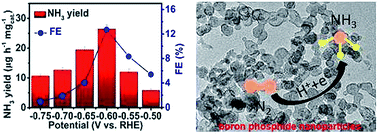 Graphical abstract: Ambient electrohydrogenation of N2 for NH3 synthesis on non-metal boron phosphide nanoparticles: the critical role of P in boosting the catalytic activity