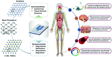 Graphical abstract: Biodegradable and bioabsorbable sensors based on two-dimensional materials