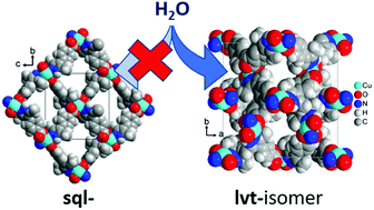 Graphical abstract: Increase of network hydrophilicity from sql to lvt supramolecular isomers of Cu-MOFs with the bifunctional 4-(3,5-dimethyl-1H-pyrazol-4-yl)benzoate linker