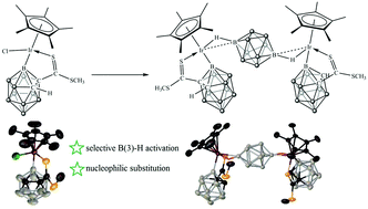 Graphical abstract: Regioselective B(3)–H bond activation based on an o-carboranyl dithiocarboxylate ligand and its derivatives