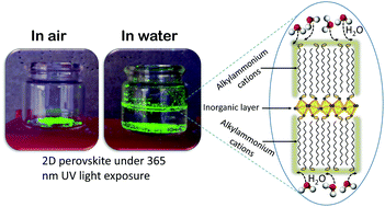 Graphical abstract: Water-resistant 2D lead(ii) iodide perovskites: correlation between optical properties and phase transitions