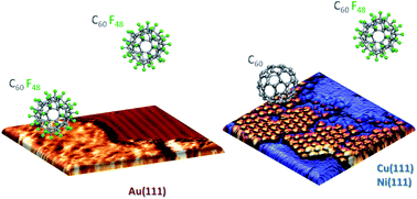 Graphical abstract: Surface specificity and mechanistic pathway of de-fluorination of C60F48 on coinage metals