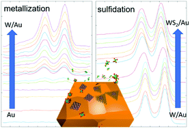 Graphical abstract: Understanding metal organic chemical vapour deposition of monolayer WS2: the enhancing role of Au substrate for simple organosulfur precursors