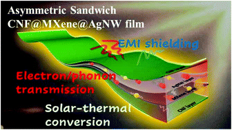 Graphical abstract: An asymmetric sandwich structural cellulose-based film with self-supported MXene and AgNW layers for flexible electromagnetic interference shielding and thermal management