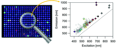 Graphical abstract: Large-scale investigation of the effects of nucleobase sequence on fluorescence excitation and Stokes shifts of DNA-stabilized silver clusters