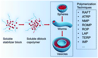 Graphical abstract: Polymerization techniques in polymerization-induced self-assembly (PISA)