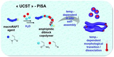 Graphical abstract: Thermoresponsive properties of poly(acrylamide-co-acrylonitrile)-based diblock copolymers synthesized (by PISA) in water