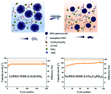 Graphical abstract: Boosting the ionic conductivity of PEO electrolytes by waste eggshell-derived fillers for high-performance solid lithium/sodium batteries