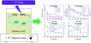 Graphical abstract: Elimination of humic acid in water: comparison of UV/PDS and UV/PMS