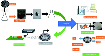 Graphical abstract: Anti microbial corrosion properties of electrospun cellulose acetate nanofibers containing biogenic silver nanoparticles for copper coatings