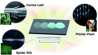 Graphical abstract: Anisotropy-induced directional self-transportation of low surface tension liquids: a review