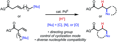 Graphical abstract: Controlling cyclization pathways in palladium(ii)-catalyzed intramolecular alkene hydro-functionalization via substrate directivity