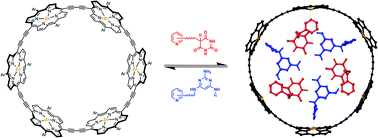 Graphical abstract: Cooperative assembly of H-bonded rosettes inside a porphyrin nanoring