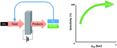 Graphical abstract: Increased hydrogen partial pressure suppresses and reverses hydrogen evolution during Pd catalysed electrolysis of CO2