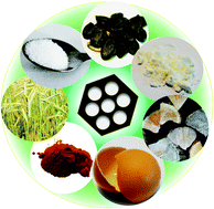 Graphical abstract: Recent advances in the development and applications of biomass-derived carbons with uniform porosity