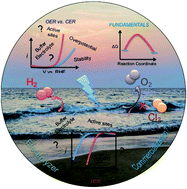 Graphical abstract: Seawater electrocatalysis: activity and selectivity