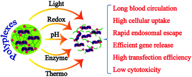 Graphical abstract: Polymeric nano-carriers for on-demand delivery of genes via specific responses to stimuli