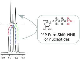 Graphical abstract: A line-broadening free real-time 31P pure shift NMR method for phosphometabolomic analysis