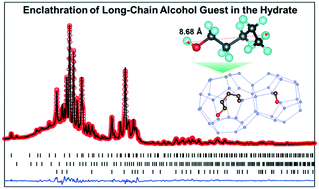 Graphical abstract: Managing hydrogen bonding in the clathrate hydrate of the 1-pentanol guest molecule