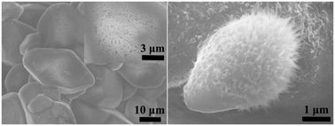 Graphical abstract: Synthesis of hierarchical MoSe2 nanolayers on sodium sulfide crystals for electrocatalytic hydrogen evolution