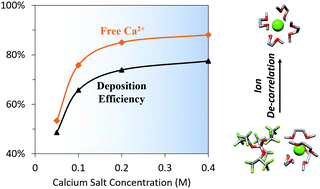 Graphical abstract: Concentration-dependent ion correlations impact the electrochemical behavior of calcium battery electrolytes