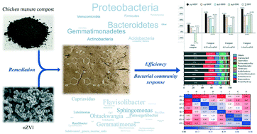 Graphical abstract: When chicken manure compost meets iron nanoparticles: an implication for the remediation of chlorophenothane-polluted riverine sediment