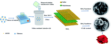 Graphical abstract: 2-Dimensional layered molybdenum disulfide nanosheets and CTAB-assisted molybdenum disulfide nanoflower for high performance supercapacitor application
