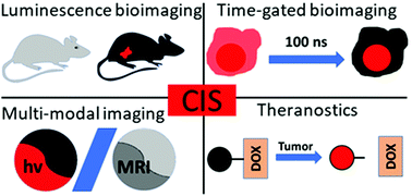 Graphical abstract: Luminescent copper indium sulfide (CIS) quantum dots for bioimaging applications