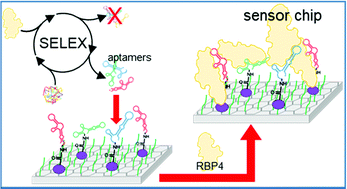 Graphical abstract: Polyclonal aptamer libraries as binding entities on a graphene FET based biosensor for the discrimination of apo- and holo-retinol binding protein 4