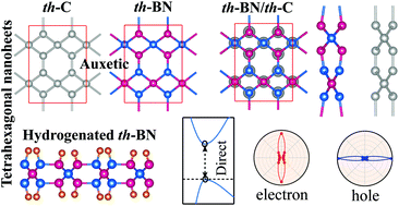 Graphical abstract: Novel two-dimensional tetrahexagonal boron nitride with a sizable band gap and a sign-tunable Poisson's ratio