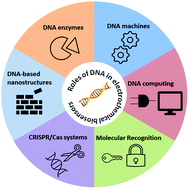 Graphical abstract: Emerging DNA-based multifunctional nano-biomaterials towards electrochemical sensing applications