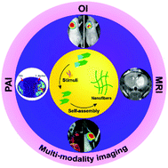 Graphical abstract: Self-assembly of peptide nanofibers for imaging applications