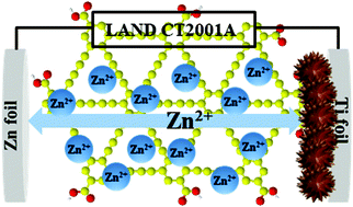 Graphical abstract: In situ grown MnO2/graphdiyne oxide hybrid 3D nanoflowers for high-performance aqueous zinc-ion batteries