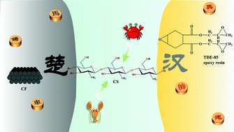 Graphical abstract: A novel eco-friendly strategy on the interfacial modification of a carbon-fiber-reinforced polymer composite via chitosan encapsulation