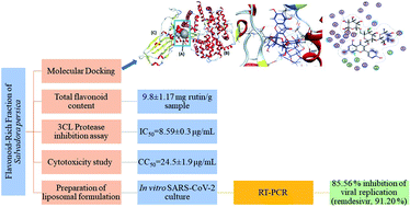 Graphical abstract: Flavonoids of Salvadora persica L. (meswak) and its liposomal formulation as a potential inhibitor of SARS-CoV-2