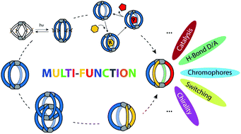 Graphical abstract: Increasing structural and functional complexity in self-assembled coordination cages