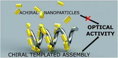 Graphical abstract: Template-assisted self-assembly of achiral plasmonic nanoparticles into chiral structures
