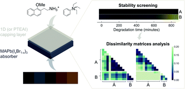 Graphical abstract: Tailoring capping-layer composition for improved stability of mixed-halide perovskites