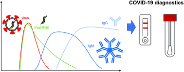 Graphical abstract: SARS-CoV-2 and approaches for a testing and diagnostic strategy