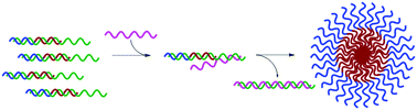 Graphical abstract: Stimuli-responsive assembly of bilingual peptide nucleic acids