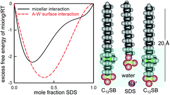 Graphical abstract: Neutron reflection and the thermodynamics of the air–water interface